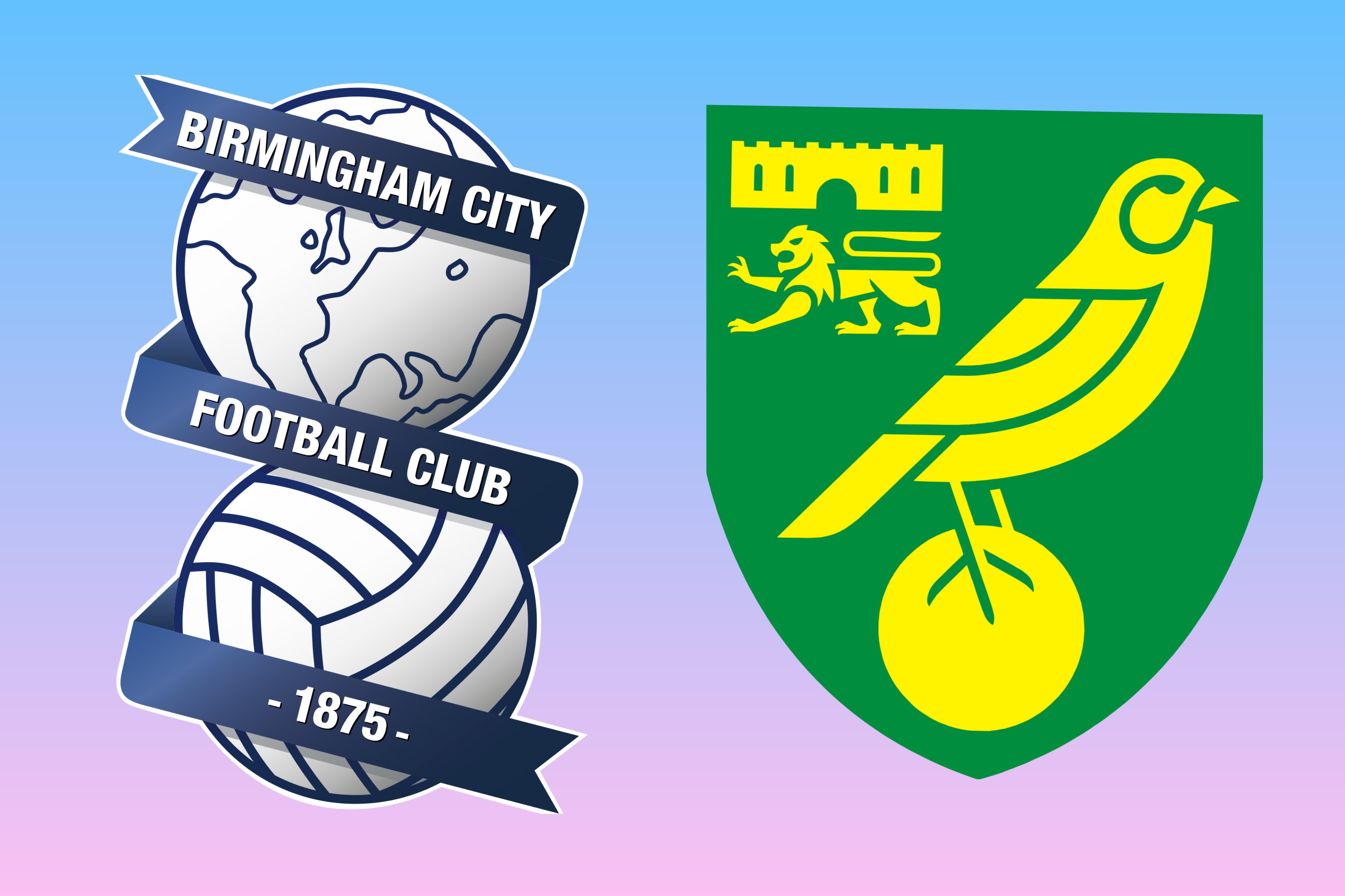Birmingham City vs Norwich Prediction: Statistical Analysis of Goals, Fouls and Winner