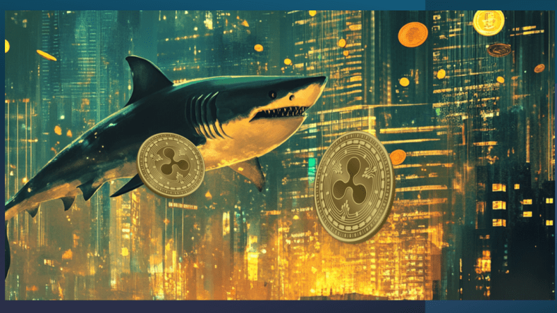 Why Altcoins Like XRP & RTX Are Standout Crypto’s That Every Investor Should Acquire This Month